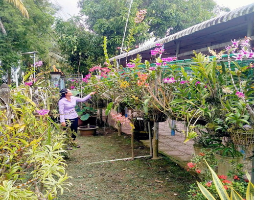Mô hình phụ nữ phát triển kinh tế gia đình